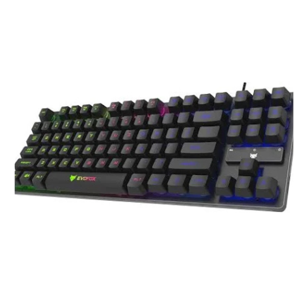 Amkette EvoFox Fireblade TKL Wired Gaming Keyboard